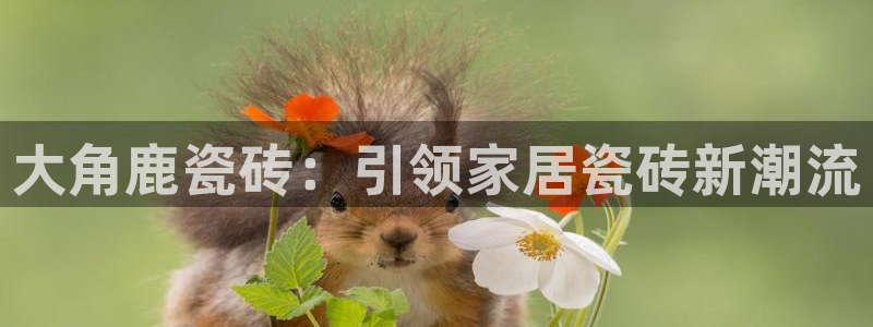 必一体育手机下载