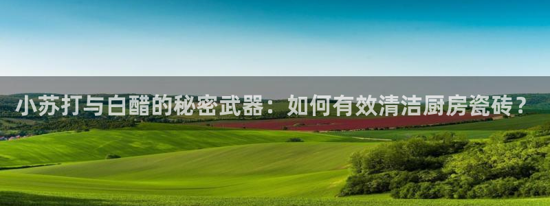 必一体育app平台下载