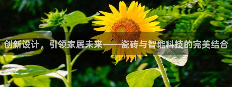 必一体育运动app