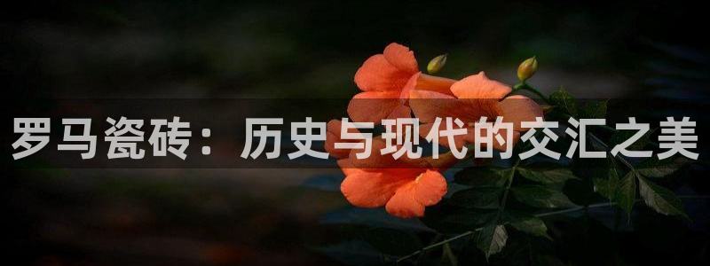 必一体育下载义