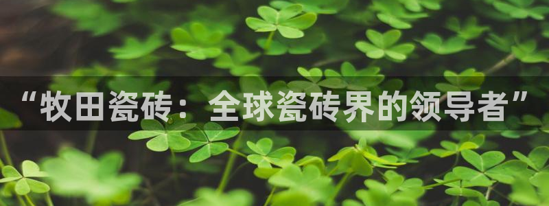 必一体育sportB体育