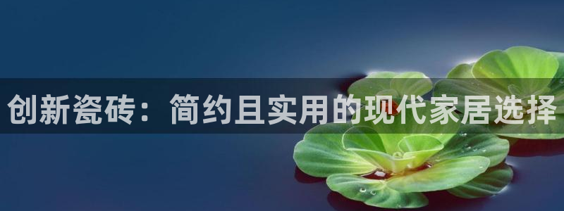 b体育必一运动网页版在线登录入口