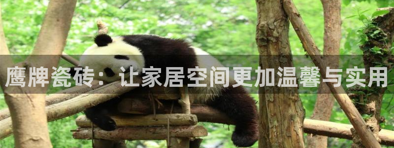 必一体育下载入口