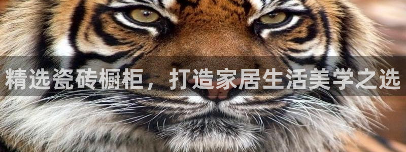 必一体育服下载最新版本更新内容