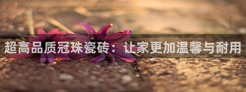 必一体育运动app下载