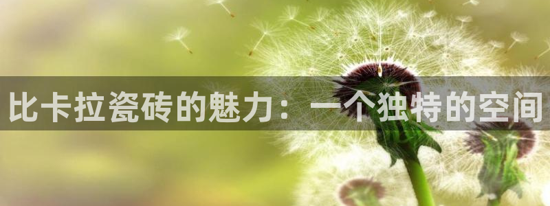 必一体育下载义