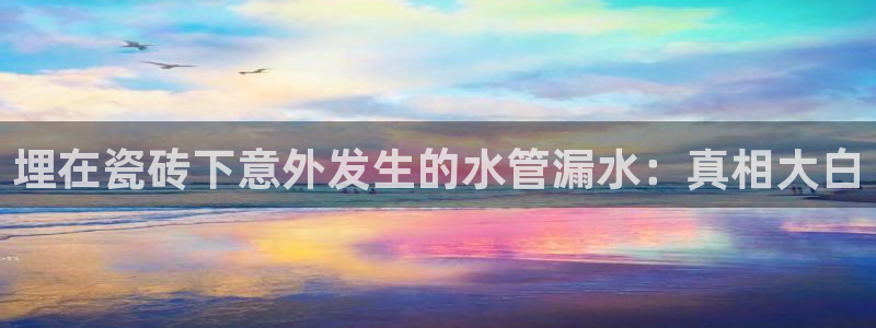 必一体育在线官网