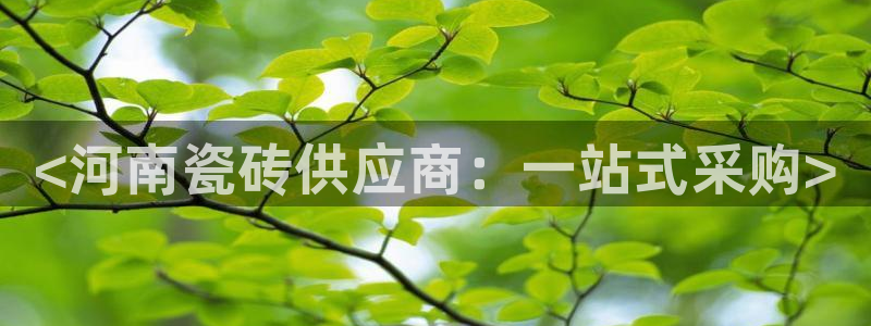 必一体育sport装机吧