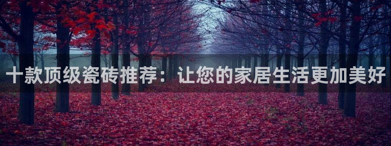 必一体育sport官方网站