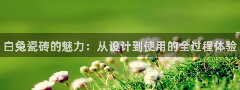 必一体育app官方下载入口