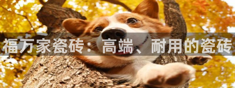 必一体育官方app下载