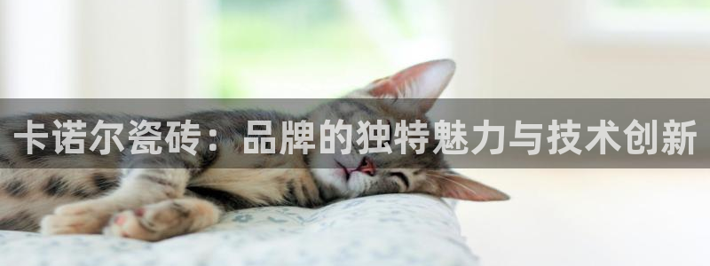 必一运动tieba.baidu.com