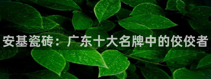 必一体育可靠吗