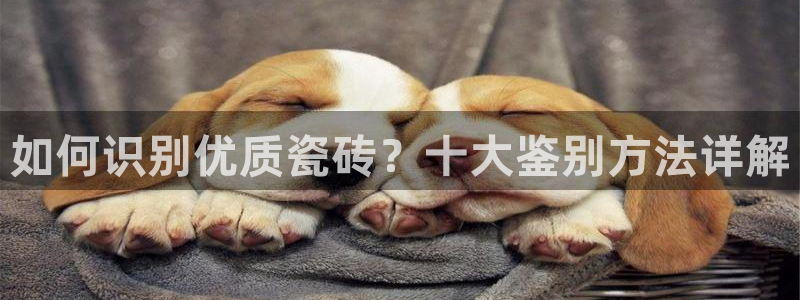 必一体育app下载装机吧