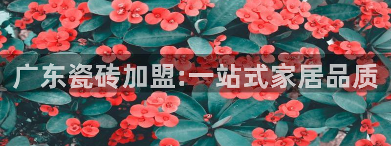 必一体育可靠吗