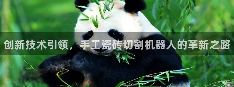 必一体育登录入口APP