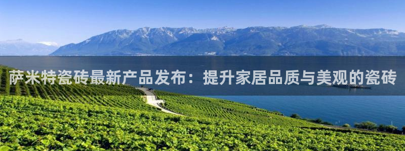 必一体育是哪里的台子