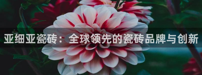 必一体育sportB体育
