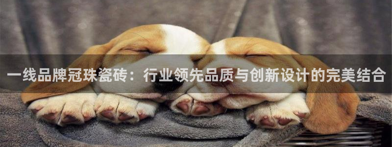 必一体育皮尔斯