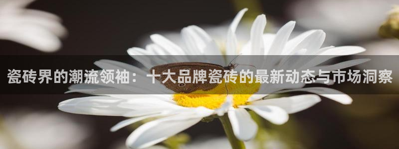 必一体育sport官方网站