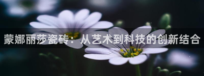 必一体育sport官方网站