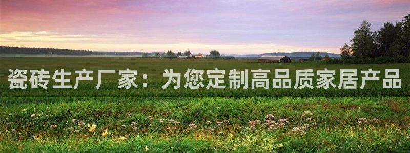 必一体育是啥