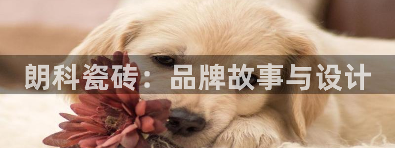 必一体育网站