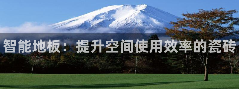 必一运动sport爱查股