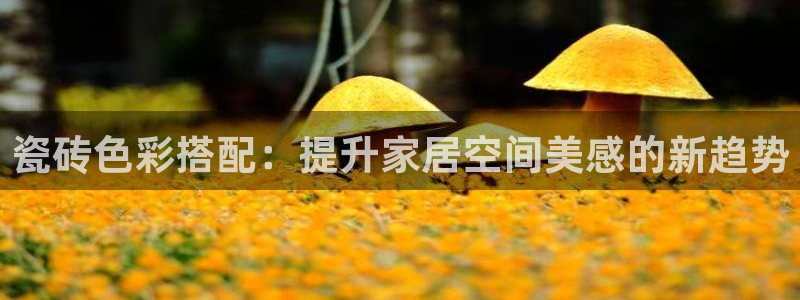 必一体育官网网址