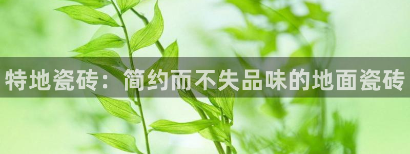 必一体育网页登录版官网