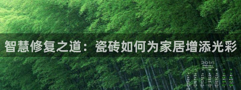 必一体育app官方