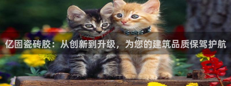 必一体育旧版